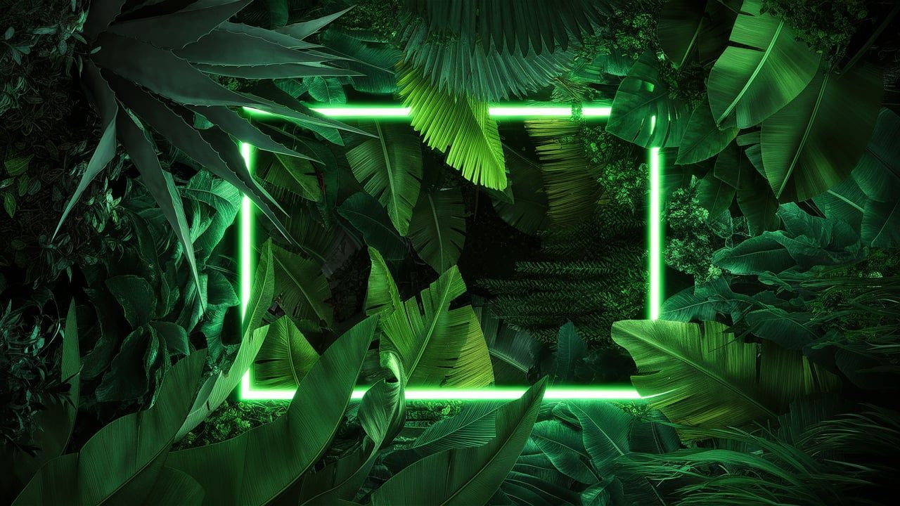 slider background image