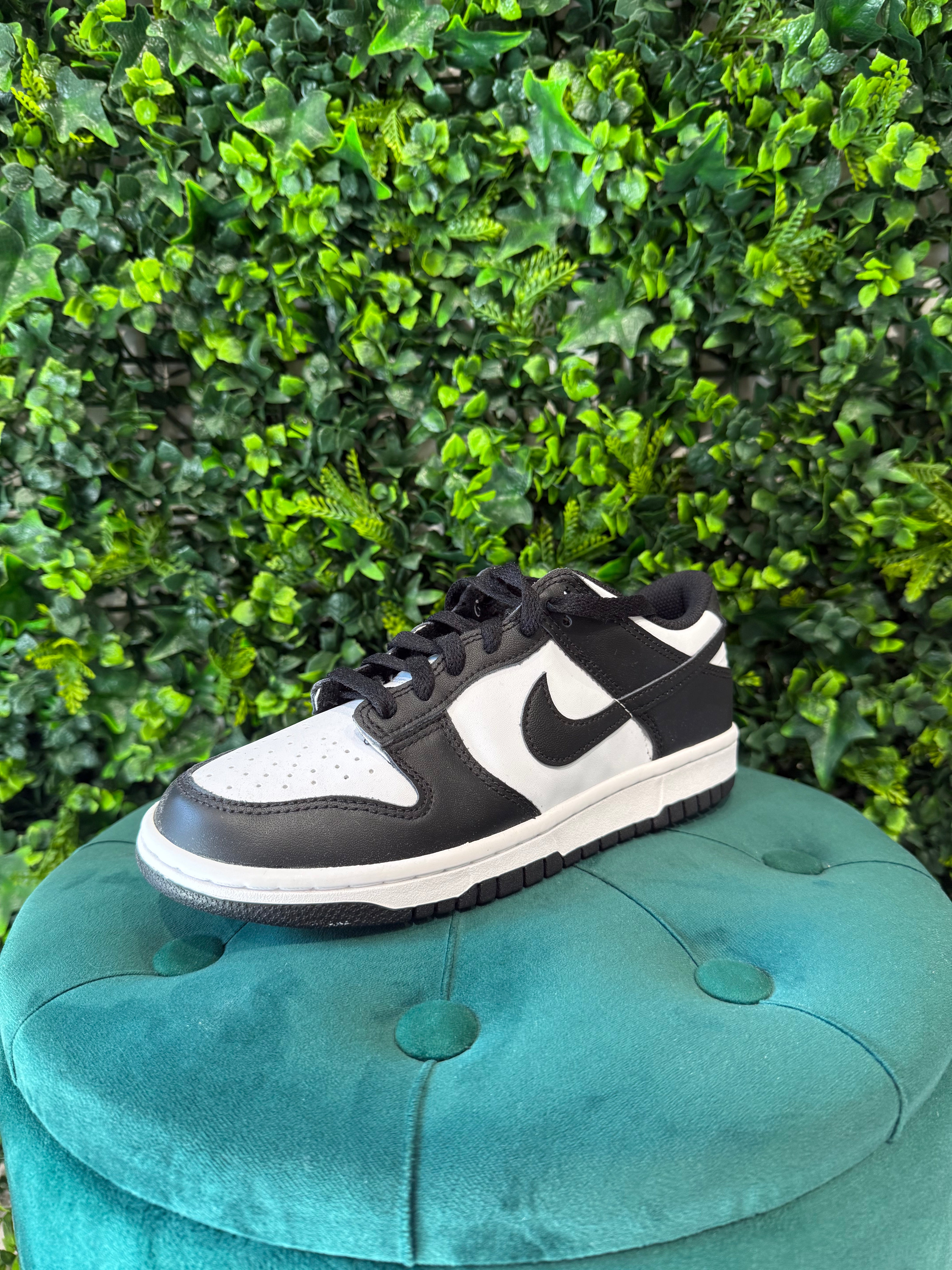 Nike Dunk Panda