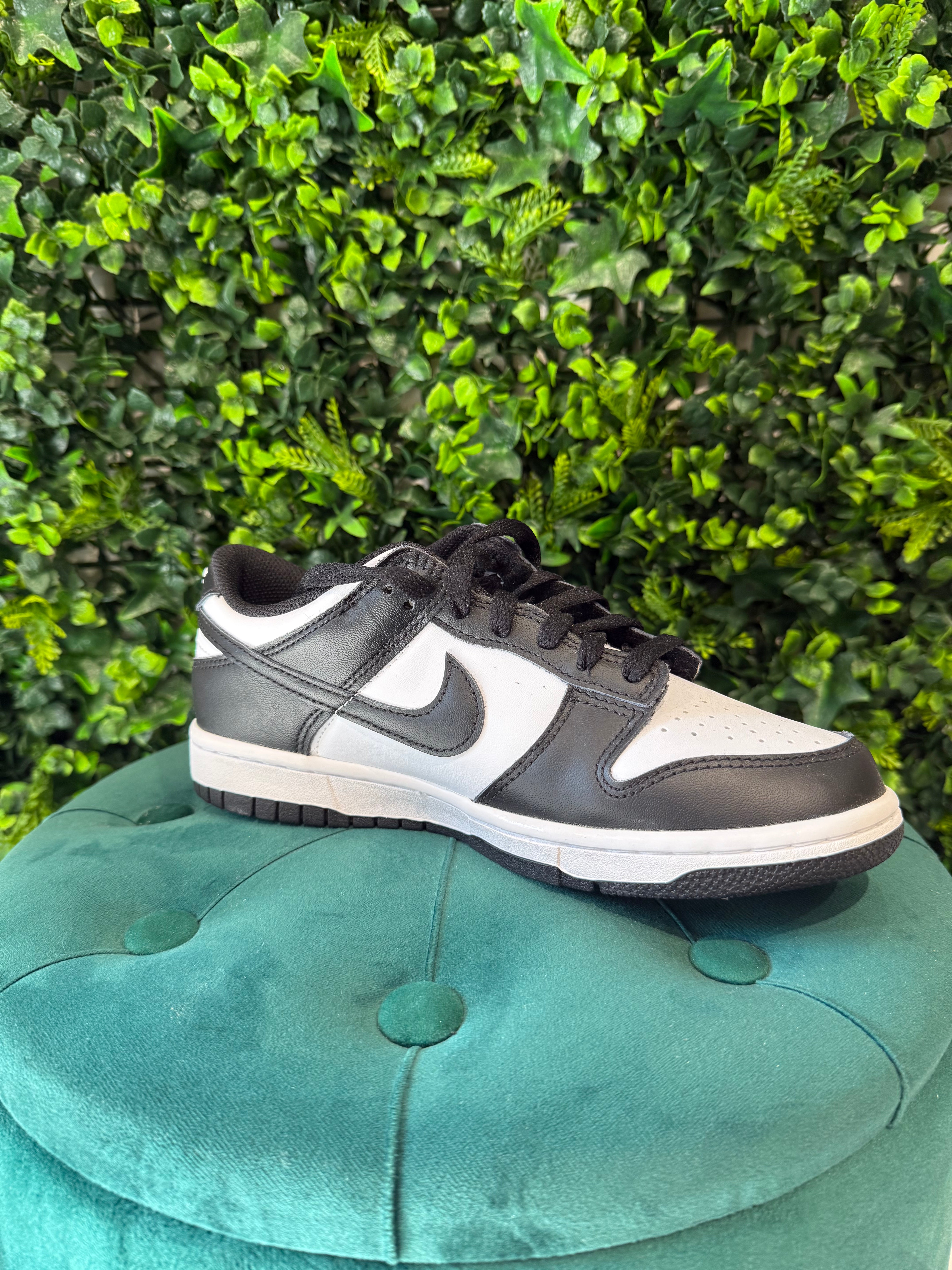 Nike Dunk Panda