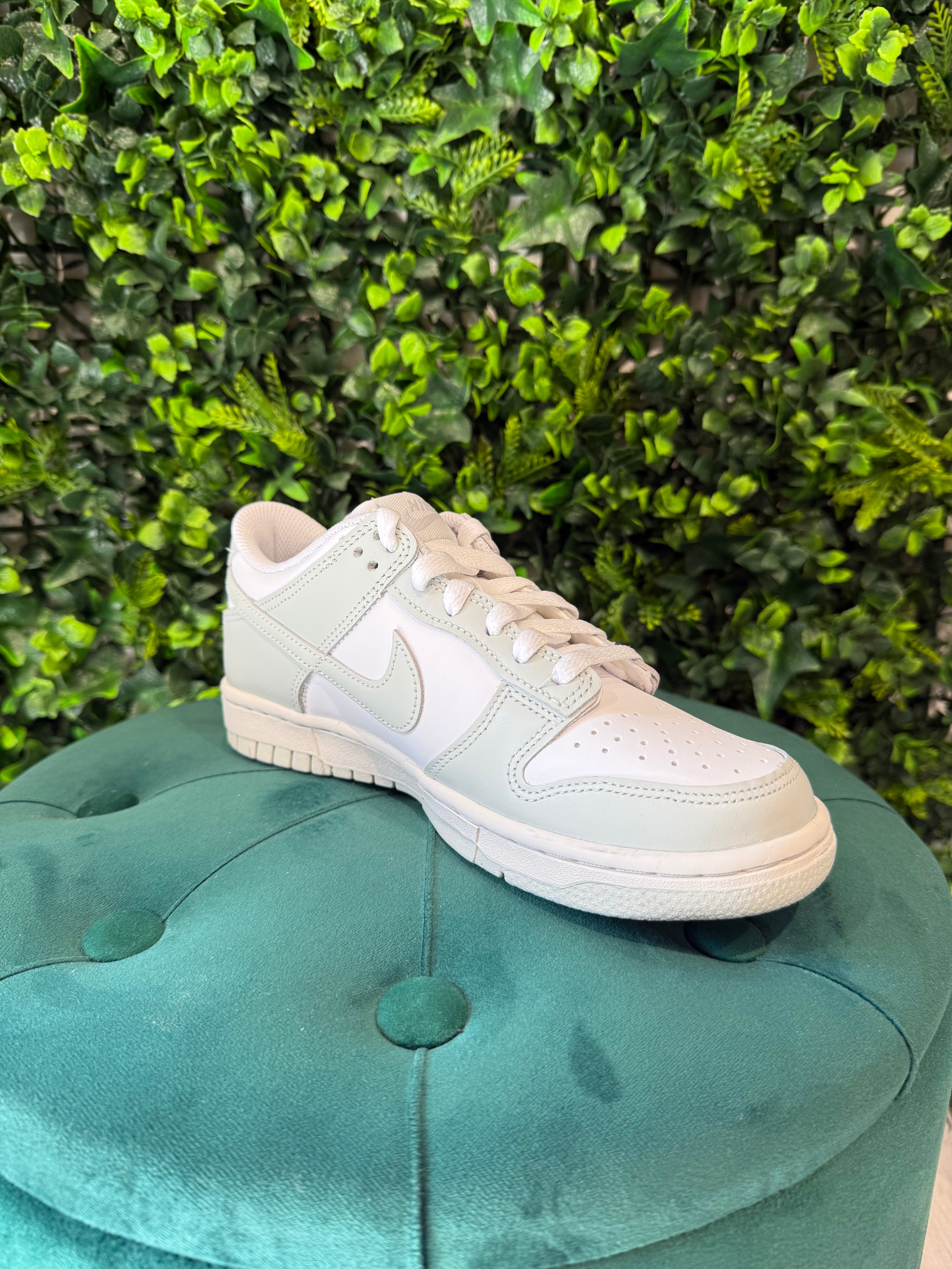 Nike Dunk Grigio Chiaro