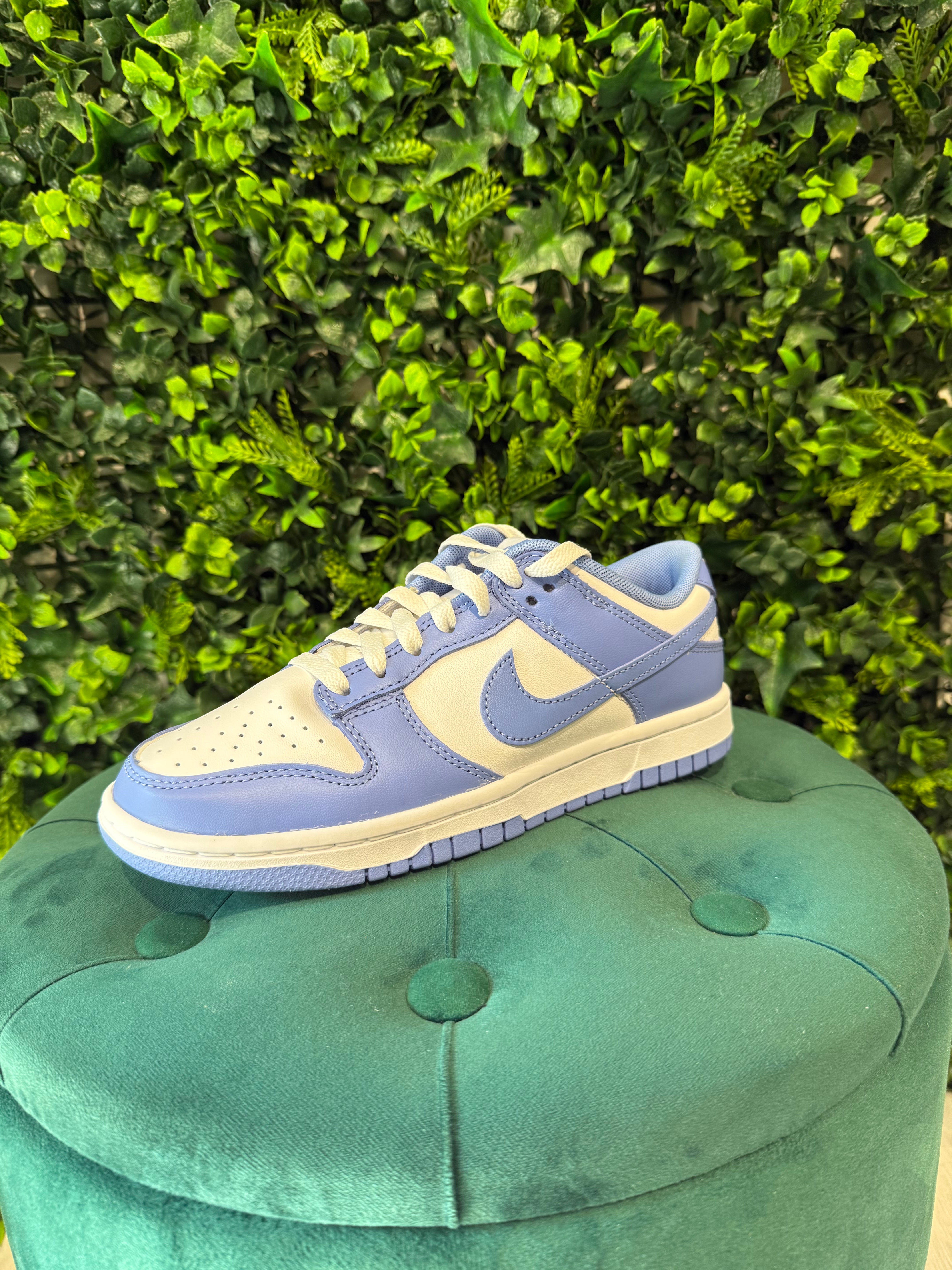 Nike Dunk Blu Polare