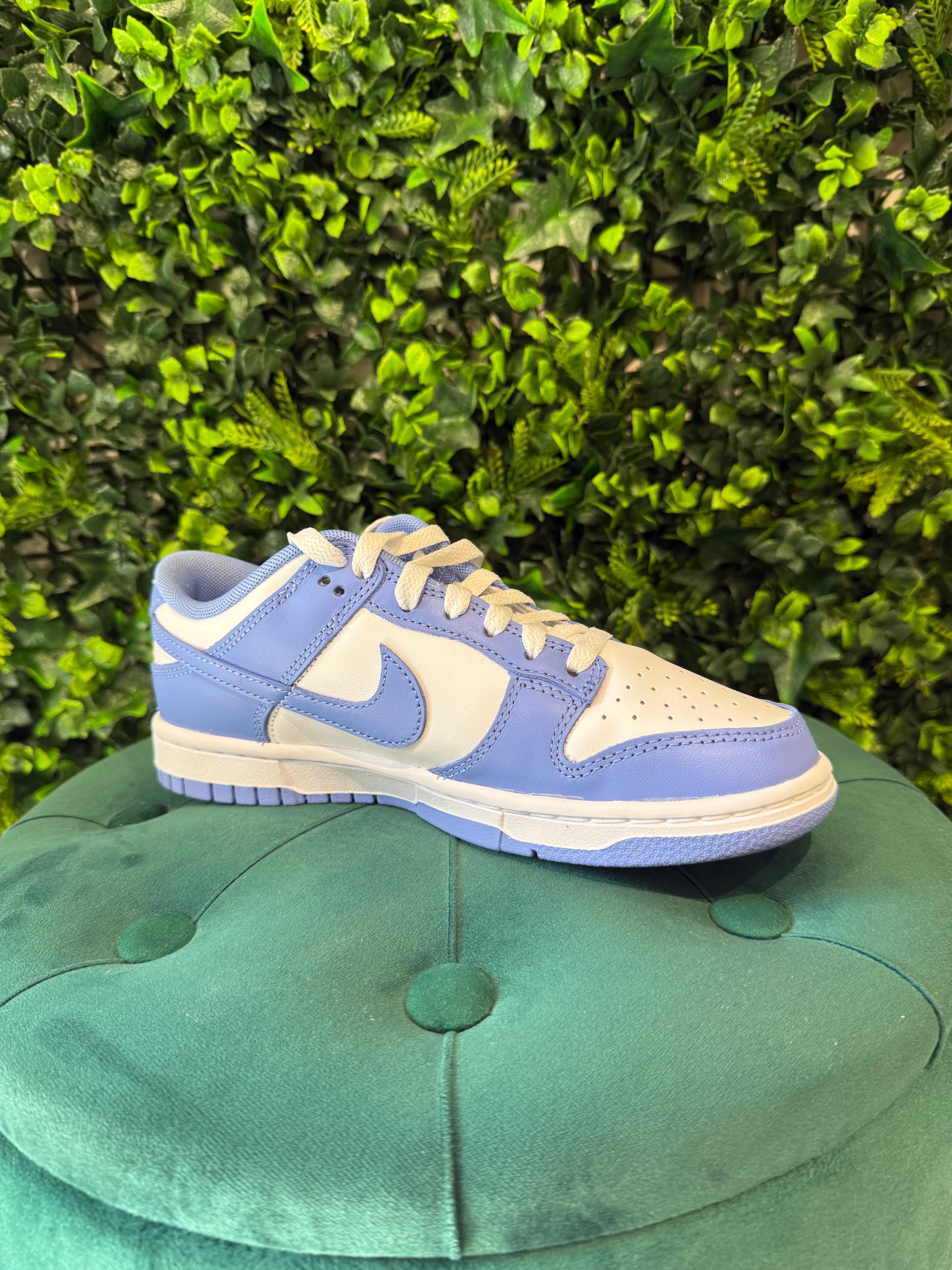 Nike Dunk Blu Polare