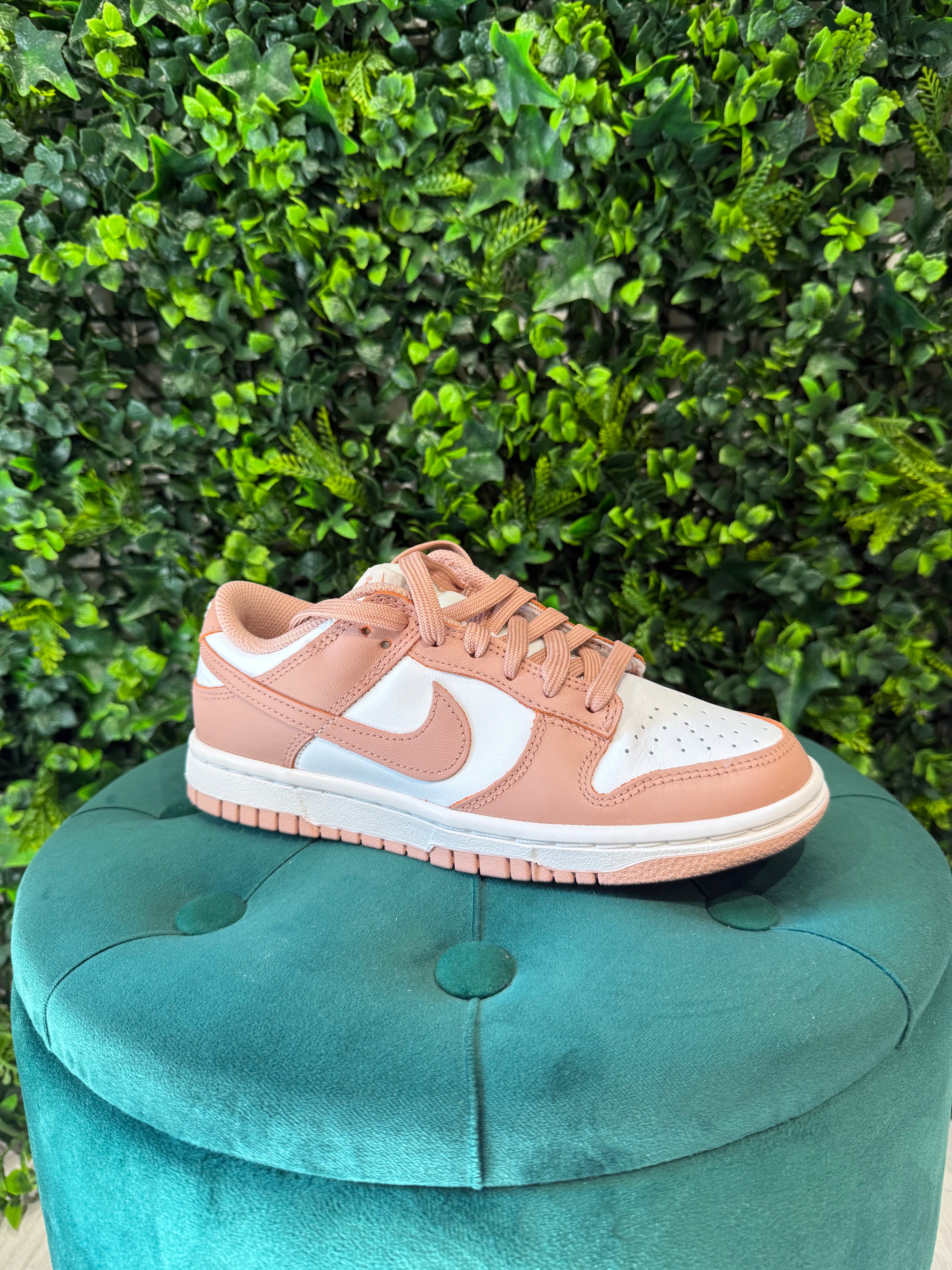 Nike Dunk Rosa Cipria