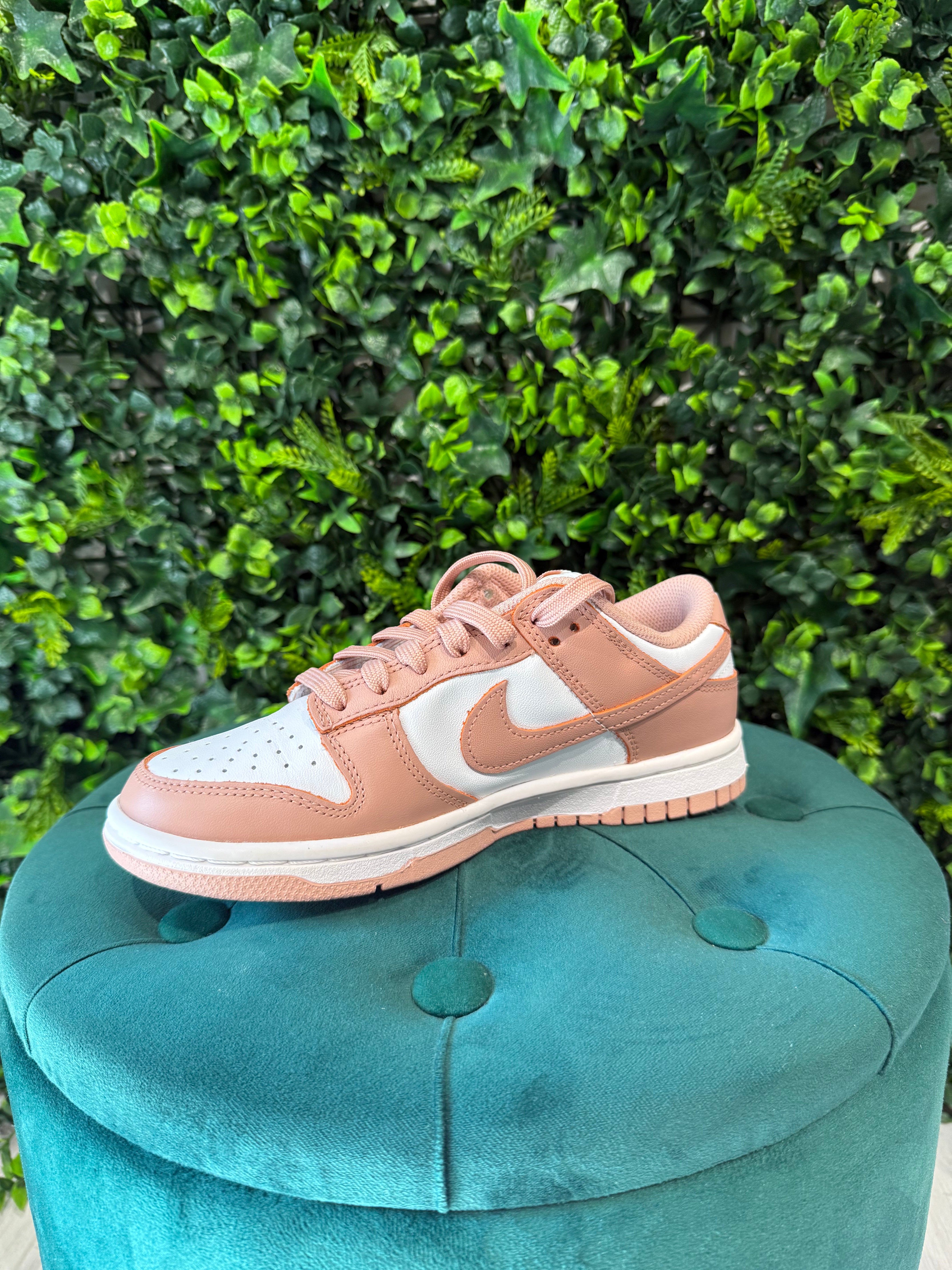 Nike Dunk Rosa Cipria