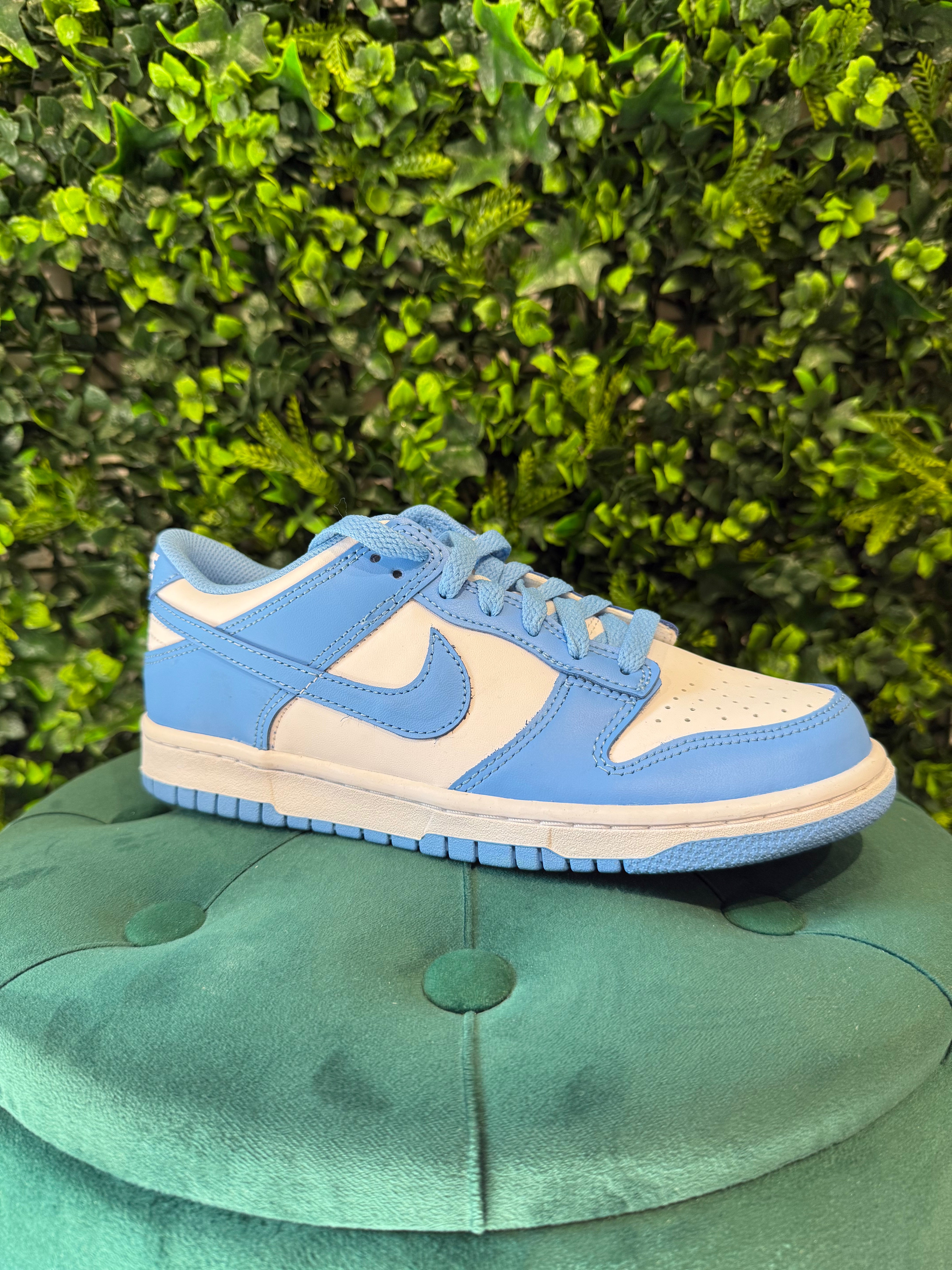 Nike Dunk University Blue
