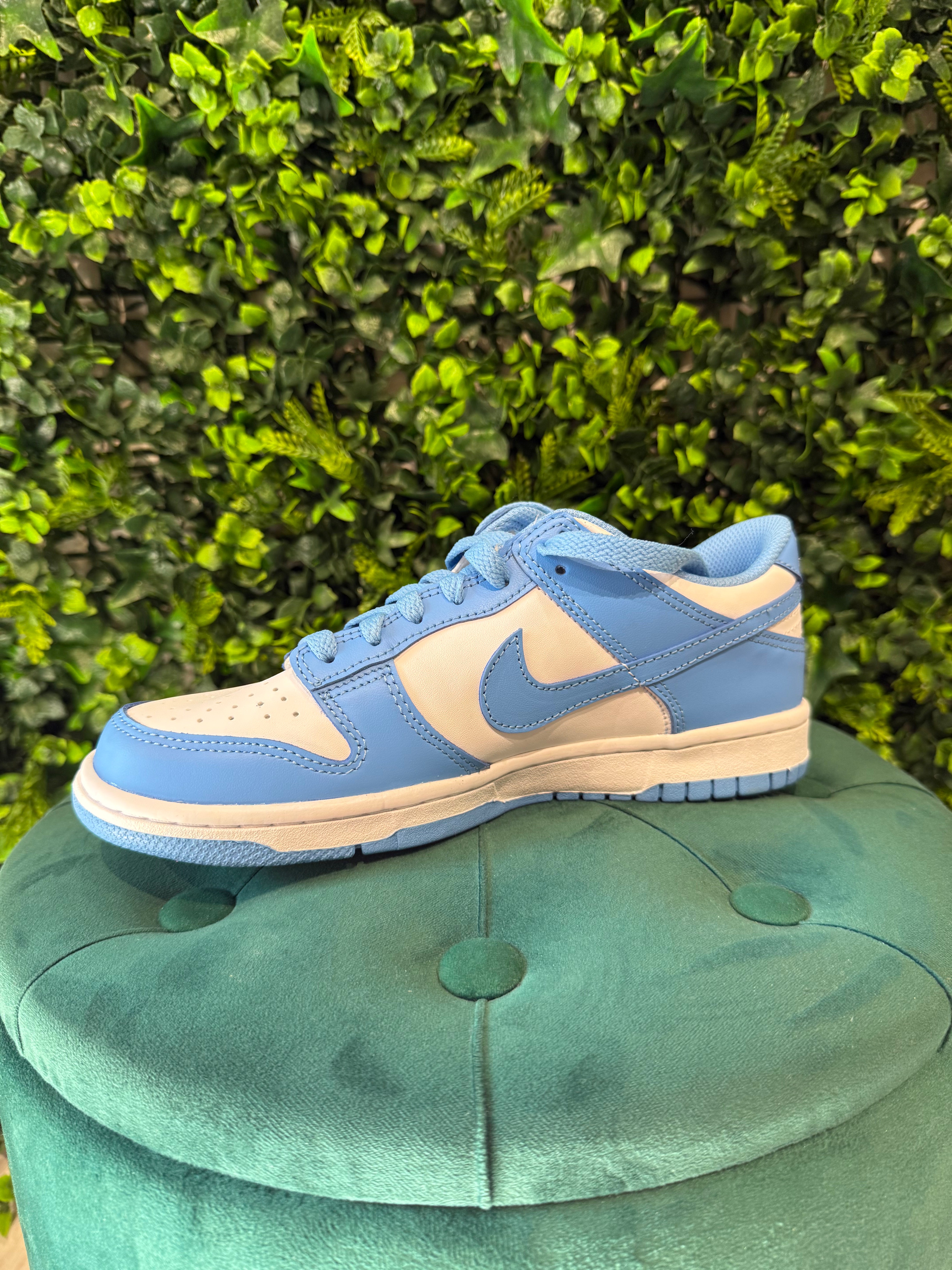 Nike Dunk University Blue