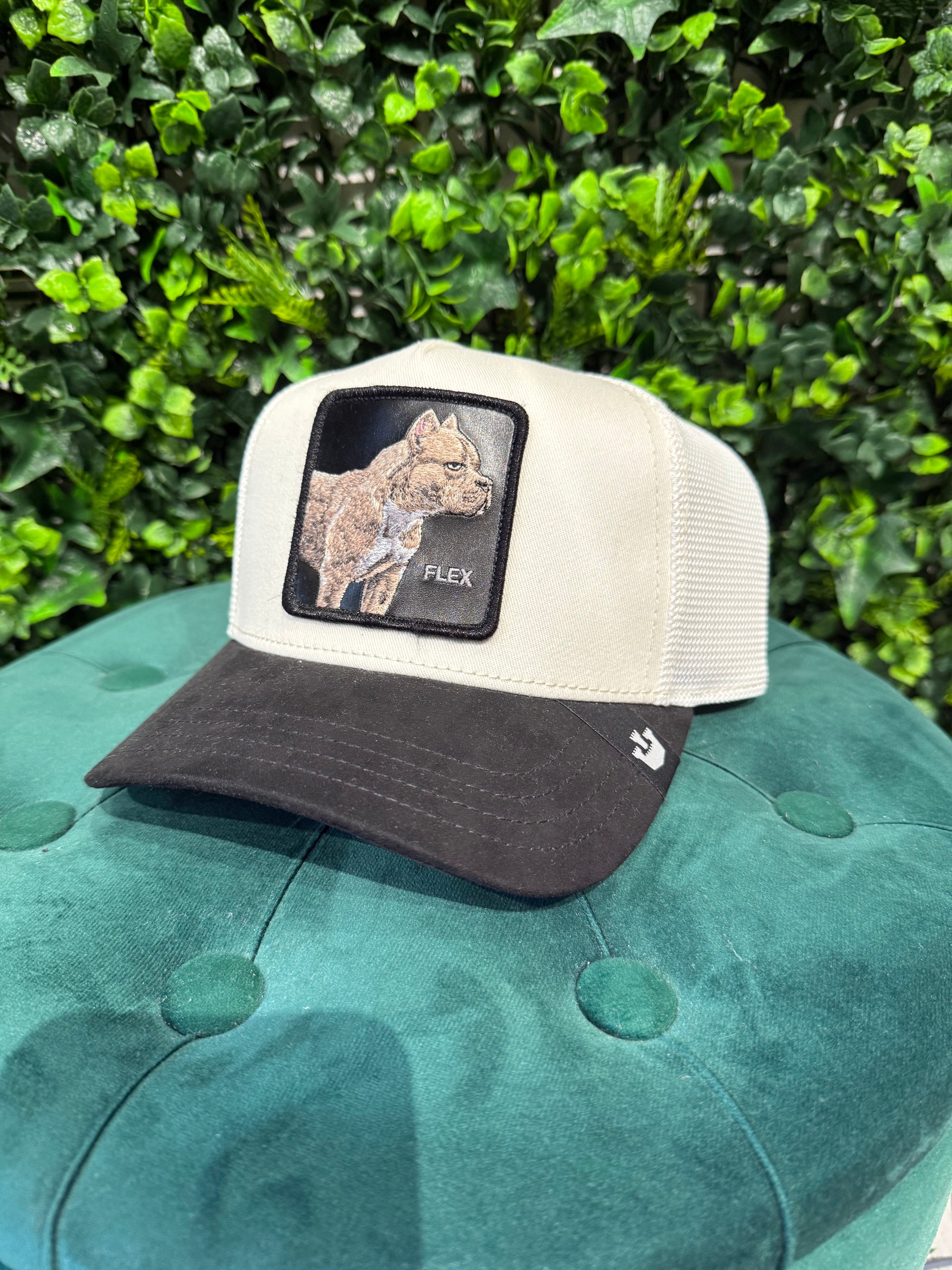 Cappello The Farm
